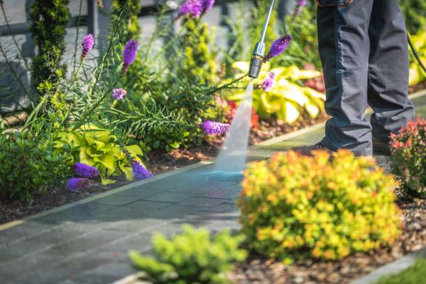Best Sidewalk and Walkway Cleaning  in Bethel, NC